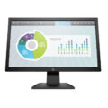 Monitor HP P204v 19.5" HD+ 60Hz TN